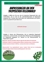 Vorschau - Arbeitsblätter - Tropischer Regenwald - Anpassung von Pflanzen und Tieren - Arbeitsblatt mit Lösungen - Erdkunde Klasse 7 und 8 - Seite 1