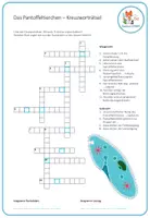 Vorschau - Arbeitsblätter - Pantoffeltierchen – 4x Aktivitäten und Spiele - Seite 2