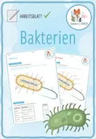 Vorschau - Arbeitsblätter - Bakterien - 10x Spiele und Aktivitäten - Seite 1