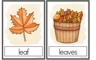 Aperçu - Cartes / Images - Autumn - Flashcards - Page 3