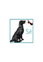 Vorschau - Bildkarten - Kommandokarten - Seite 3