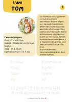 Aperçu - Jeux - Dossier Automne -un léopard dans la classe - Page 1