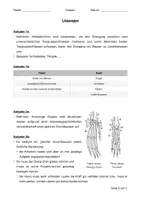 Vorschau - Arbeitsblätter - LK Belege für die Evolution (inkl. Lösungen) - Seite 3