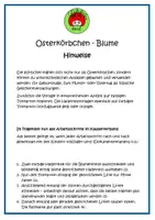 Vorschau - Mal- und Bastelvorlagen - Osterkörbchen - Blume: Bastelbogen | Vorlage - Seite 1