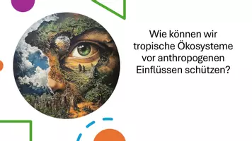 Vorschau - Präsentationen/Tafelbilder - Präsentation: Geographie der Tropen - Seite 2