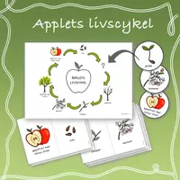 förhandsvisning - Äpplets livscykel med bilder - försättsblad