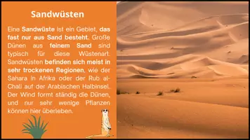 Vorschau - Arbeitsblätter - Wüsten – Lernkarten & Übungen (Erdkunde Sek I) - Seite 3