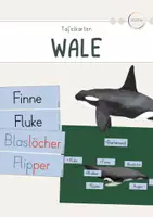 Vorschau - Präsentationen/Tafelbilder - Wale - Körperteile (Tafelkarten) - Deckblatt