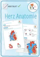 Vorschau - Arbeitsblätter - MEGA-SPARPAKET: Herz und Kreislauf – 30x Spiele und Aktivitäten - Seite 3