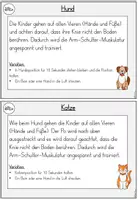 Vorschau - Spiele - Körperwahrnehmung / Körperspannung für den Sportunterricht (Animal Walks - Gehen wie Tiere) - Seite 3