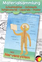 Vorschau - Stundenentwürfe - Materialsammlung Nervensystem Sachunterricht Biologie NaWi - Deckblatt