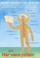 Vorschau - Stundenentwürfe - Materialsammlung Nervensystem Sachunterricht Biologie NaWi - Seite 2