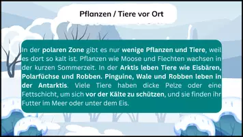 Vorschau - Arbeitsblätter - Polare Zone – Lernkarten & Übungen zu Arktis & Antarktis (Erdkunde Sek I) - Seite 3