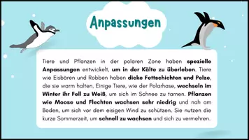Vorschau - Poster - POLARE ZONE: Lernkarten zur Arktis, Antarktis und der polaren Zone - Erdkunde für die Sek 1 - Seite 3
