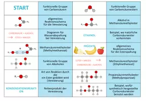 Vorschau - Spiele - Carbonsäuren und Ester – 5x Aktivitäten und Spiele - Seite 2