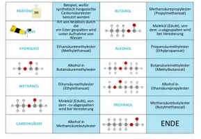 Vorschau - Spiele - Carbonsäuren und Ester – 5x Aktivitäten und Spiele - Seite 3