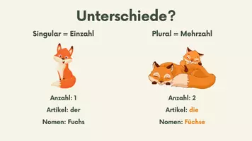 Vorschau - Stundenentwürfe - PPT & Stundenentwurf: Singular & Plural - Nomen inkl Lösungen - Teil 2 - Seite 3