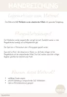 Vorschau - Stationenlernen - Artikel-Wortkarten (bestimmte Artikel) - Fliegenklatschenspiel - Seite 2