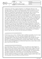 Vorschau - Unterrichtsreihen - Sachtext lesen und verstehen das Eichhörnchen, Klasse 4, 5, 6 - Seite 1