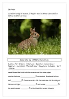 Vorschau - Arbeitsblätter - Der Hase Text Aufgaben Lösung Steckbrief - Seite 1