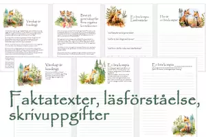 förhandsvisning - Vänskap: Poster, faktatext, läsförståelse, skrivuppdrag, klurigheter - sida 1