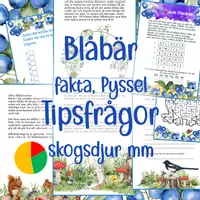 förhandsvisning - Blåbärsskogen Fakta, pyssel, tipsfrågor mm - försättsblad
