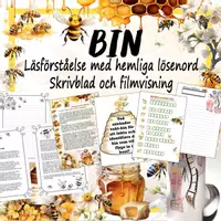 förhandsvisning - BI-Sysslor Materialpaket om Bin Del 1-3 - sida 3