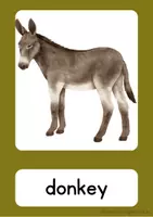 Vorschau - Bildkarten - Flashcards - Farm animals - Seite 2