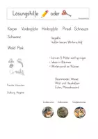 Vorschau - Arbeitsblätter - Steckbrief Eichhörnchen mit Lösungshilfe und Lösungsblatt - Seite 3