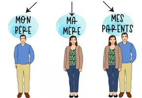 Vorschau - Bildkarten - Bild-und Wortkarten: Adjectifs possessifs (Possessivpronomen) - Seite 2