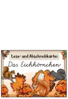 Vorschau - Aufgabenkarten - Eichhörnchen - Abschreibkartei | VA / Vereinfachte Ausgangsschrift - Seite 1