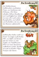 Vorschau - Aufgabenkarten - Eichhörnchen - Abschreibkartei | VA / Vereinfachte Ausgangsschrift - Seite 3