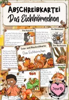 Vorschau - Aufgabenkarten - Eichhörnchen - Abschreibkartei | Druckschrift - Deckblatt