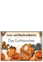 Vorschau - Aufgabenkarten - Eichhörnchen - Abschreibkartei | Druckschrift - Seite 1