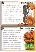 Vorschau - Aufgabenkarten - Eichhörnchen - Abschreibkartei | Druckschrift - Seite 2
