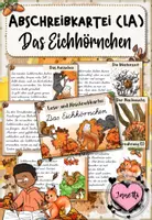 Vorschau - Aufgabenkarten - Eichhörnchen - Abschreibkartei | LA / Lateinische Ausgangsschrift - Deckblatt