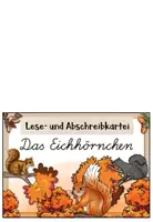 Vorschau - Aufgabenkarten - Eichhörnchen - Abschreibkartei | LA / Lateinische Ausgangsschrift - Seite 1