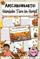 Vorschau - Aufgabenkarten - Tiere im Herbst | Abschreibkartei | Druckschrift - Deckblatt