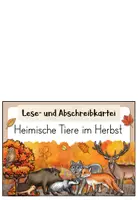 Vorschau - Aufgabenkarten - Tiere im Herbst | Abschreibkartei | Druckschrift - Seite 1