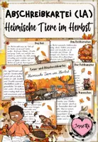 Vorschau - Aufgabenkarten - Tiere im Herbst | Abschreibkartei | LA / Lateinische Ausgangsschrift - Deckblatt