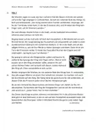 Vorschau - Text - Märchen: Das Feuerpferd (Text) auch geeingnet für die Übung im Lautleseverfahren - Seite 3