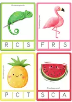 Vista previa - Unidades / Secuencias / Situaciones de Aprendizaje - 56 FLASHCARDS CONCIENCIA FONOLÓGICA - página 3