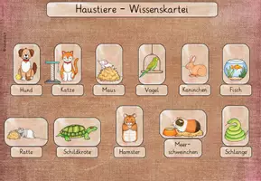 Vorschau - Arbeitsblätter - Haustiere Wissenkartei - Deckblatt
