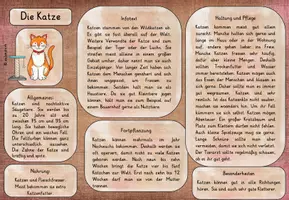 Vorschau - Arbeitsblätter - Haustiere Wissenkartei - Seite 2