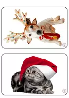 anteprima - Flashcard - Corda della bellezza Natale - Pagina 3