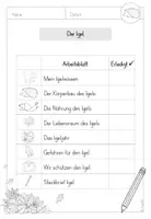Vorschau - Arbeitsblätter - 1./2.Klasse: Lerntheke mit differenzierten Arbeitsblättern zum Thema Igel - Seite 2