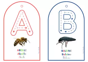 Aperçu - Jeux - ABECEDAIRE DES ANIMAUX – JE TRACE - Page 2
