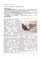 Vorschau - Arbeitsblätter - Evolutionsfaktoren – Gruppenpuzzle mit Aufgaben - Deckblatt