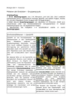 Vorschau - Arbeitsblätter - Evolutionsfaktoren – Gruppenpuzzle mit Aufgaben - Seite 3