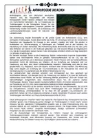 Vorschau - Arbeitsblätter - Klimawandel - Ursachen: Treibhauseffekt ; Treibhausgase ; Mensch ; Industrie ; CO2 Emissionen und Lösungsansätze (Klasse 8 9 10) mit Lösung - Seite 3